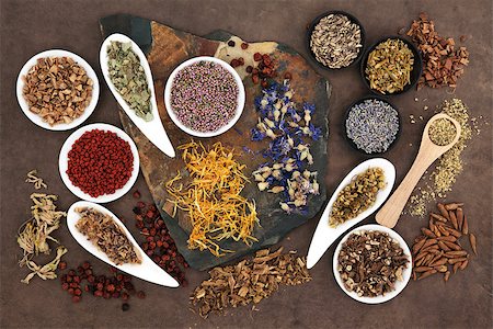 Herbal medicine selection also used in witches magical potions over brown lokta paper background. Stock Photo - Budget Royalty-Free & Subscription, Code: 400-07303596