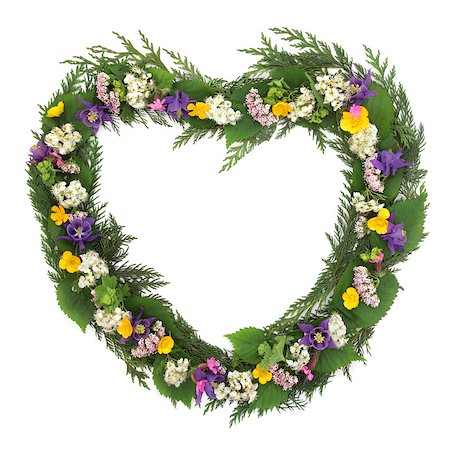 Wild flower heart shaped wreath over white background. Stock Photo - Budget Royalty-Free & Subscription, Code: 400-07303606