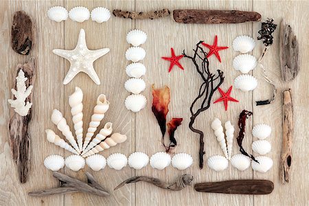 Sea shell, driftwood and seaweed abstract design over old oak background. Stock Photo - Budget Royalty-Free & Subscription, Code: 400-07303614
