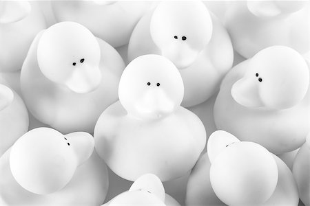 Rubber duck surrounded by other ducks in black and white Foto de stock - Super Valor sin royalties y Suscripción, Código: 400-07314523