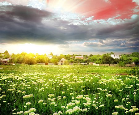 simsearch:400-07975760,k - Sunset over the field in the village Fotografie stock - Microstock e Abbonamento, Codice: 400-07315018