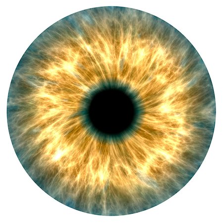 Illustration of a yellow and grey human iris Photographie de stock - Aubaine LD & Abonnement, Code: 400-07315888