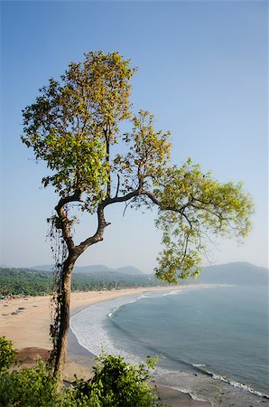 Many beautiful sand beaches are still not crowded yet, despite the increasing numbers of tourists in Goa, India. Stock Photo - Budget Royalty-Free & Subscription, Code: 400-07316018