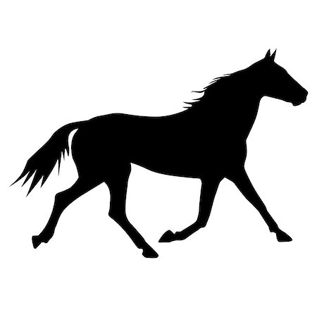 simsearch:400-07316355,k - vector silhouette of horse Stock Photo - Budget Royalty-Free & Subscription, Code: 400-07316352
