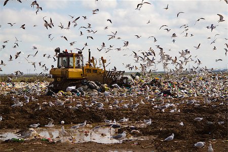 simsearch:694-03327856,k - Shot of bulldozers working a landfill site Stock Photo - Budget Royalty-Free & Subscription, Code: 400-07316389
