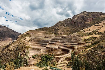 Pisac, Incas ruins in the peruvian Andes at Cuzco Peru Stock Photo - Budget Royalty-Free & Subscription, Code: 400-07317455