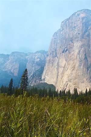 simsearch:400-04775544,k - Yosemite Valley, Yosemite National Park, California, USA Fotografie stock - Microstock e Abbonamento, Codice: 400-07319568