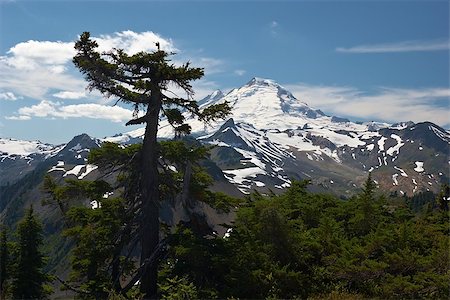 people scenic view sky hiking summer - Mountain Landscape, Mt. Baker, Washington, USA Stock Photo - Budget Royalty-Free & Subscription, Code: 400-07319573