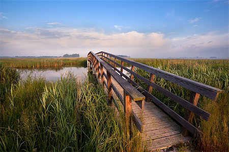 wooden bridge for bicycles over river in morning sunlight Stock Photo - Budget Royalty-Free & Subscription, Code: 400-07319627