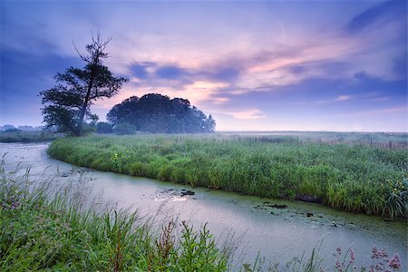simsearch:400-07295947,k - misty summer morning over river, Drenthe, Netherlands Fotografie stock - Microstock e Abbonamento, Codice: 400-07319621