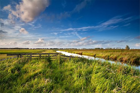 simsearch:400-07295947,k - Dutch farmland in sunny summer day, Netherlands Fotografie stock - Microstock e Abbonamento, Codice: 400-07319639