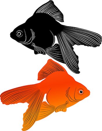 goldfish carp Stock Photo - Budget Royalty-Free & Subscription, Code: 400-07319979