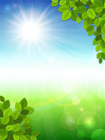 Vector illustration of a summer background with green leaves Photographie de stock - Aubaine LD & Abonnement, Code: 400-07310092
