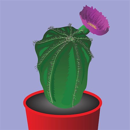 colorful illustration with cactus flower  for your design Stock Photo - Budget Royalty-Free & Subscription, Code: 400-07310115