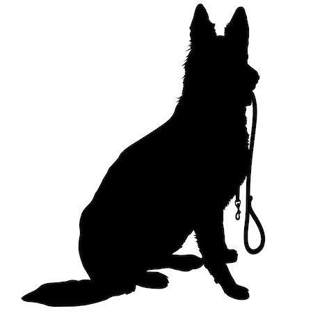 simsearch:400-06127601,k - Silhouette of a German Shepherd holding a leash and ready to go for a walk Photographie de stock - Aubaine LD & Abonnement, Code: 400-07311869