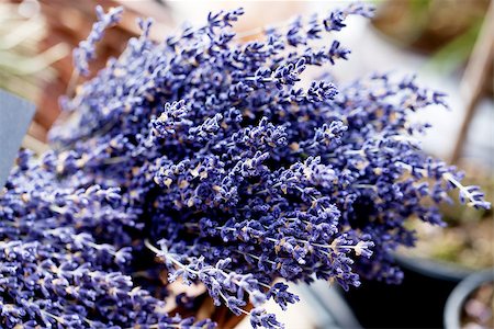 simsearch:400-03928421,k - beautiful violet lavender bouquet in basket outdoor on market Stockbilder - Microstock & Abonnement, Bildnummer: 400-07312240