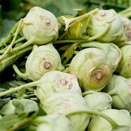 simsearch:400-04812261,k - fresh green kohlrabi cabbage on market macro outdoor in summer Photographie de stock - Aubaine LD & Abonnement, Code: 400-07312263