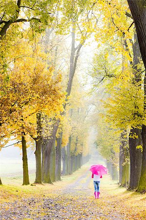 phbcz (artist) - woman wearing rubber boots with umbrella in autumnal alley Stockbilder - Microstock & Abonnement, Bildnummer: 400-07312567