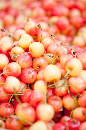 simsearch:400-06921455,k - fresh yellow red sweet cherries macro closeup on market outdoor summer Foto de stock - Super Valor sin royalties y Suscripción, Código: 400-07312880