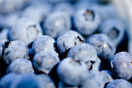 simsearch:400-06698338,k - healthy fresh blueberries macro closeup on market outdoor summer Stock Photo - Budget Royalty-Free & Subscription, Code: 400-07312914
