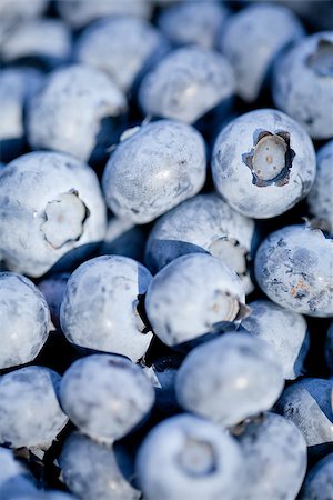 simsearch:400-06698338,k - healthy fresh blueberries macro closeup on market outdoor summer Stock Photo - Budget Royalty-Free & Subscription, Code: 400-07312913