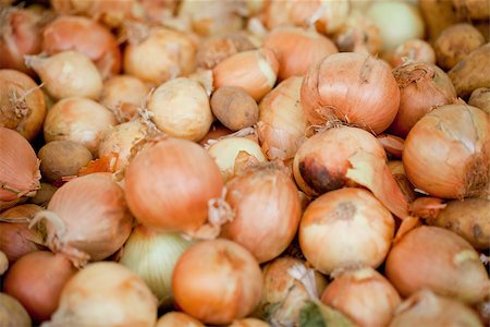 simsearch:400-04834620,k - group of golden onion macro closeup outdoor market summer Stock Photo - Budget Royalty-Free & Subscription, Code: 400-07312925