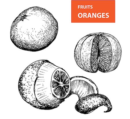 simsearch:400-04892460,k - Oranges - set of vector illustration Stock Photo - Budget Royalty-Free & Subscription, Code: 400-07313762