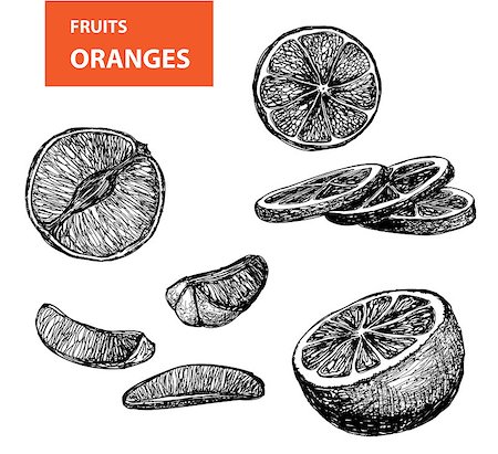 simsearch:400-04892460,k - Oranges - set of vector illustration Stock Photo - Budget Royalty-Free & Subscription, Code: 400-07313763