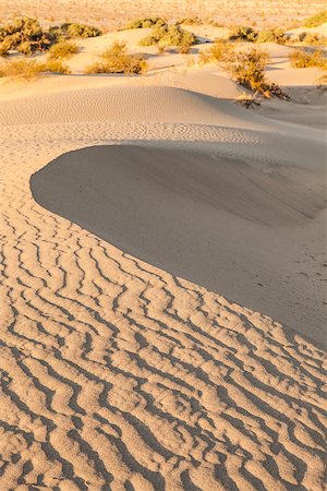 simsearch:400-06415515,k - Sand dunes of Mesquite Flat in Death Valley Desert - California Fotografie stock - Microstock e Abbonamento, Codice: 400-07313778
