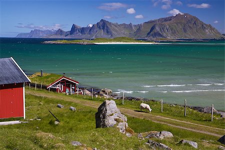 simsearch:400-06557083,k - Animal farm with sod roof on Lofoten islands in Norway Stockbilder - Microstock & Abonnement, Bildnummer: 400-07313859