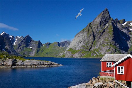 sakrisoy - Scenic view of Lofoten islands with typical red fishing hut and towering mountain peaks around deep fjords Photographie de stock - Aubaine LD & Abonnement, Code: 400-07313851