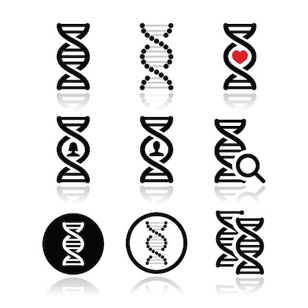 Vecor icons set of DNA isolated on white Stock Photo - Budget Royalty-Free & Subscription, Code: 400-07324247