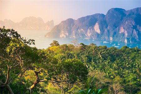 simsearch:400-08012860,k - Tropical landscape. Phi-phi island, panorama view. Thailand. Stock Photo - Budget Royalty-Free & Subscription, Code: 400-07325962