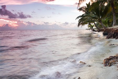 simsearch:400-05902449,k - Beautiful tranquil beach sun rise in southern Belize Stock Photo - Budget Royalty-Free & Subscription, Code: 400-07326065
