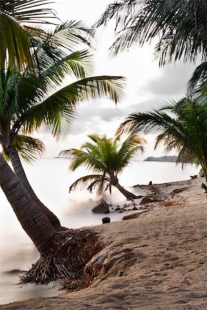 simsearch:400-05902449,k - early morning in a beautiful serene tropical beach in southern Belize Stock Photo - Budget Royalty-Free & Subscription, Code: 400-07326068