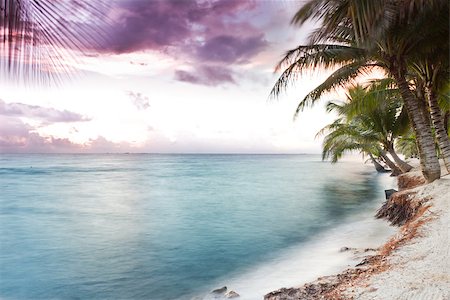 simsearch:400-05902449,k - Beautiful tranquil beach sun rise in southern Belize Stock Photo - Budget Royalty-Free & Subscription, Code: 400-07326061