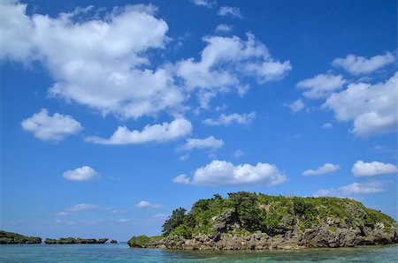 simsearch:400-05902449,k - View at the tropical coast of the japanese island Iriomote Stock Photo - Budget Royalty-Free & Subscription, Code: 400-07326582