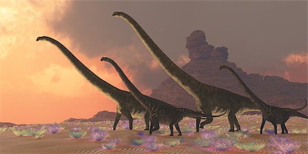 simsearch:400-05375985,k - Two youngsters accompany two older adult Mamenchisaurus dinosaurs as they look for better vegetation to eat. Foto de stock - Royalty-Free Super Valor e Assinatura, Número: 400-07326600