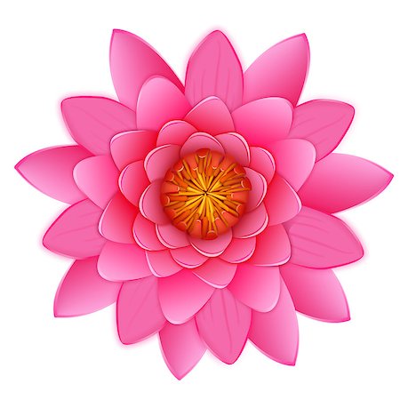 simsearch:851-02959686,k - Beautiful pink lotus or waterlily flower isolated on white background. Vector illustration for your pretty design. Close up  blossoming bud in Japanese pond. Photo realistic image. Photographie de stock - Aubaine LD & Abonnement, Code: 400-07327182