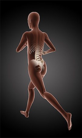 simsearch:400-06768230,k - 3D render of a female medical skeleton running Photographie de stock - Aubaine LD & Abonnement, Code: 400-07327423