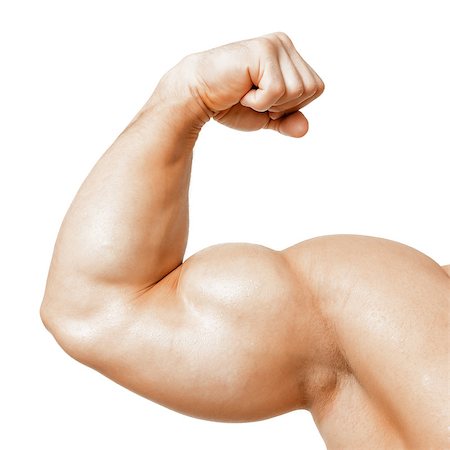 fitness model adult - An image of a muscular biceps isolated on white Stock Photo - Budget Royalty-Free & Subscription, Code: 400-07327969