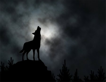 Editable vector silhouette of a howling wolf with moonlit clouds background made using a gradient mesh Foto de stock - Super Valor sin royalties y Suscripción, Código: 400-07328099