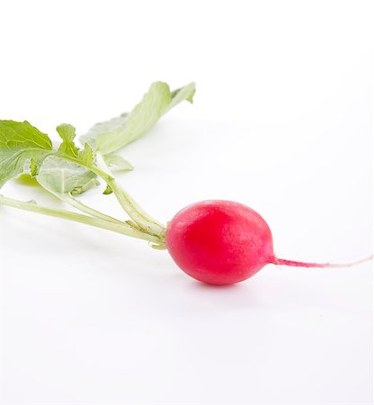 simsearch:400-07422782,k - fresh red ripe radish isolated on white background Photographie de stock - Aubaine LD & Abonnement, Code: 400-07328545