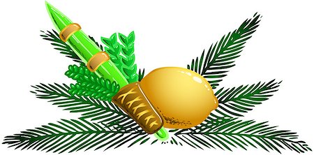 simsearch:400-08617549,k - Vector illustration of the four species for Sukkot Jewish holiday. Stockbilder - Microstock & Abonnement, Bildnummer: 400-07329067