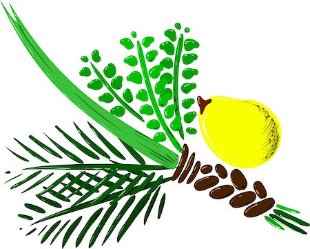 simsearch:400-08617549,k - Vector illustration of the four species for Sukkot Jewish holiday. Stockbilder - Microstock & Abonnement, Bildnummer: 400-07329068