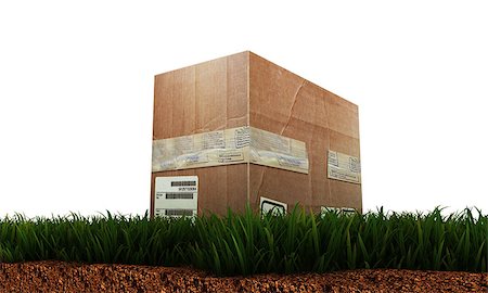simsearch:400-05730843,k - cardboard box on green grass isolated on white background Stock Photo - Budget Royalty-Free & Subscription, Code: 400-07329612