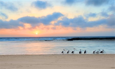 simsearch:400-07314059,k - The sun rises up at the horizon at The Entrance North, on a beautiful summer day in Australia Stockbilder - Microstock & Abonnement, Bildnummer: 400-07320020