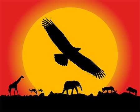 sunset and wild animals Stock Photo - Budget Royalty-Free & Subscription, Code: 400-07320551
