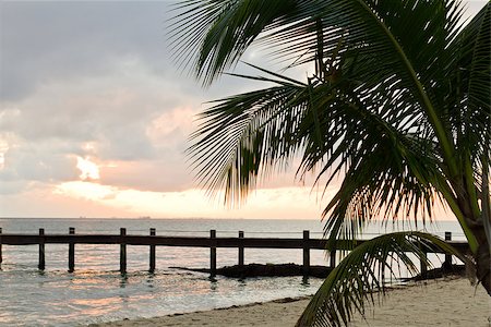 early morning in a beautiful serene tropical beach in southern Belize Stock Photo - Budget Royalty-Free & Subscription, Code: 400-07320930