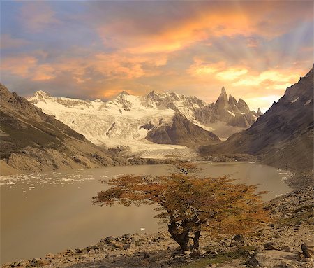 simsearch:400-07325218,k - Small tree by laguna Torre and Cerro Torre mountain at sunrise. Los Glaciares National park. Argentina. Photographie de stock - Aubaine LD & Abonnement, Code: 400-07321179